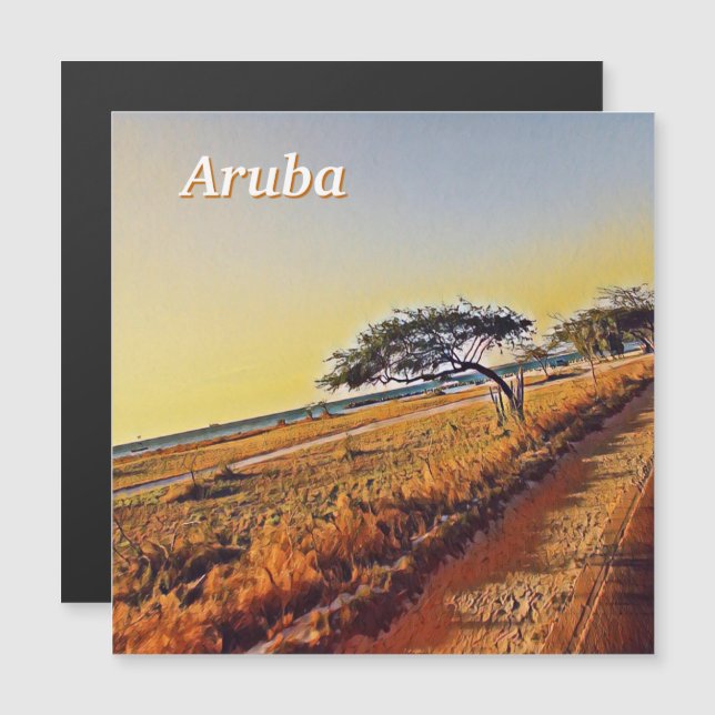 Aruba Divi Divi Trees (Front/Back)