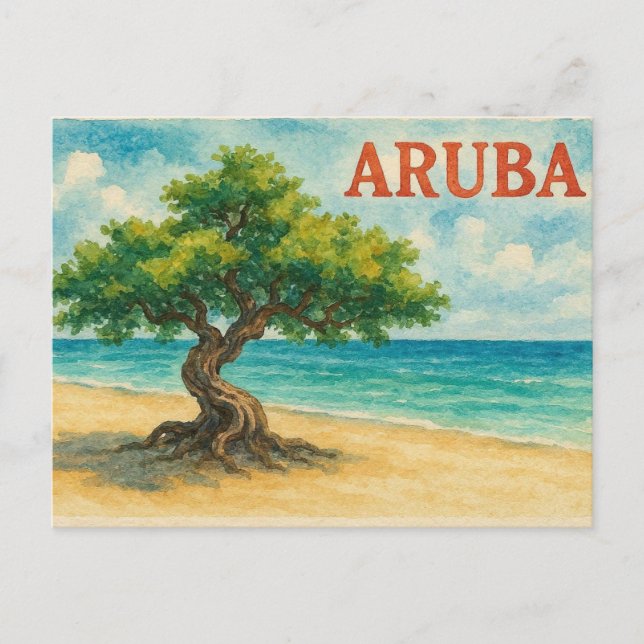 Aruba Divi Tree Eagle Beach watercolor Postcard (Front)