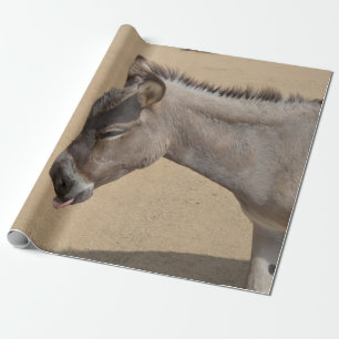 Aruba Donkey Wrapping Paper