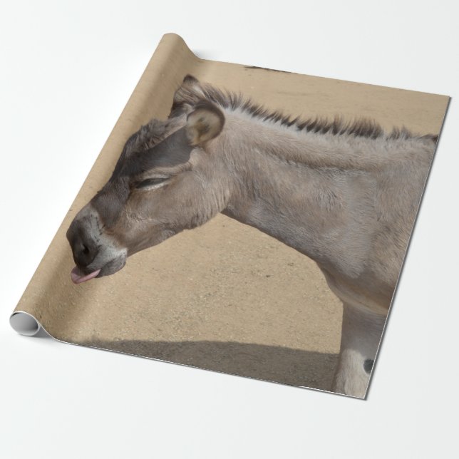 Aruba Donkey Wrapping Paper (Unrolled)