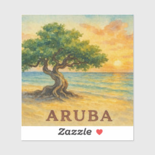 Aruba Eagle Beach Divi Tree Golden Hour