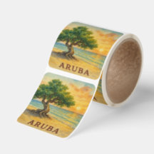 Aruba Eagle Beach Divi Tree Golden Hour