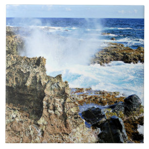 Aruba, island Caribbean Sea Tile