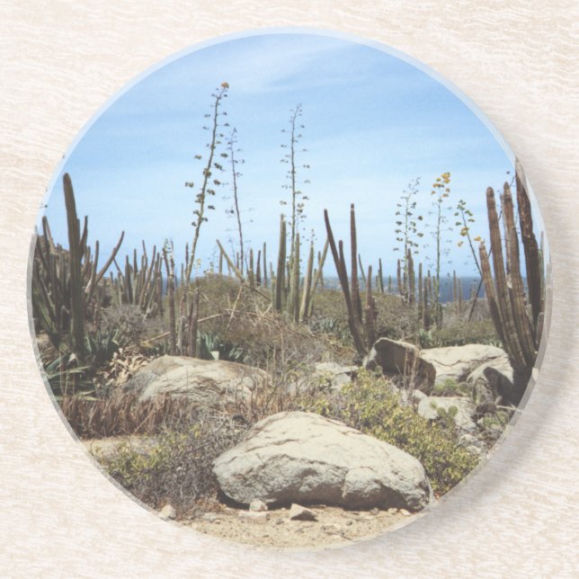 Aruba Landscape With Cactus Coaster (Front)