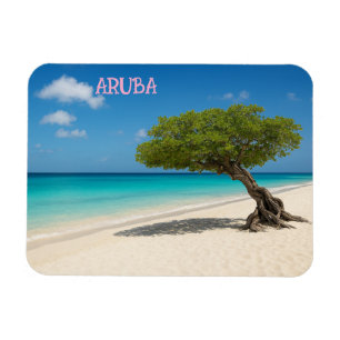 Aruba magnet