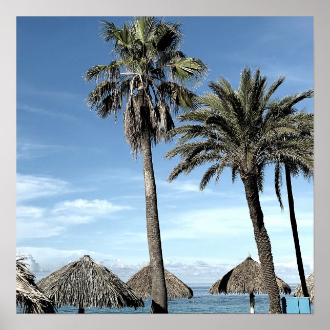 Aruba Ocean View Palm Trees and Beach Palapa Huts Poster (Front)