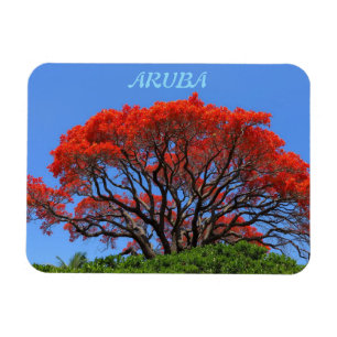 Aruba one happy island magnet