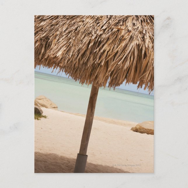 Aruba, palapa on beach postcard (Front)