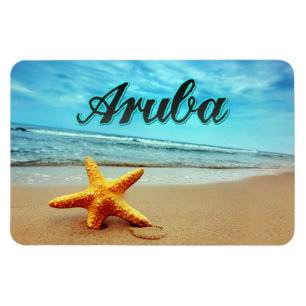 Aruba starfish magnet