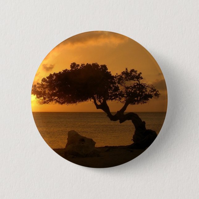 Aruba Sunset Divi Divi Tree 6 Cm Round Badge (Front)