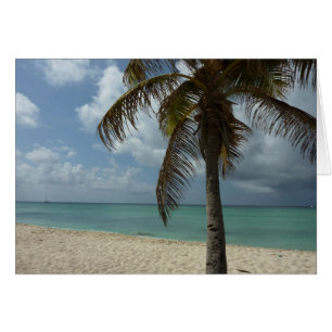 Aruban Beach I Beautiful Nature Scene