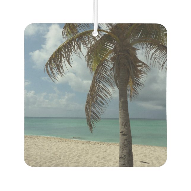 Aruban Beach I Beautiful Nature Scene Car Air Freshener (Front)
