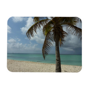 Aruban Beach I Beautiful Nature Scene Magnet