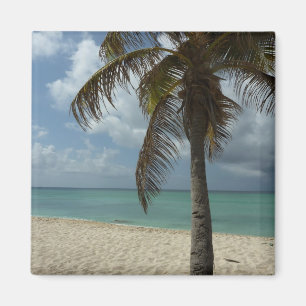 Aruban Beach I Beautiful Nature Scene Magnet