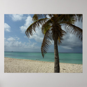 Aruban Beach I Beautiful Nature Scene Poster