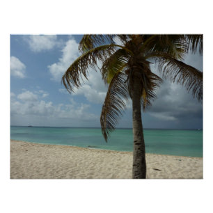Aruban Beach I Beautiful Nature Scene Poster