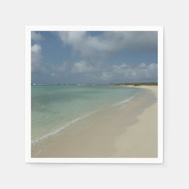 Aruban Beach II Beautiful Nature Scene Napkin (Front)