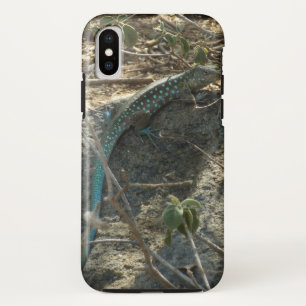 Aruban Whiptail Lizard Tropical Animal Photography iPhone X Case
