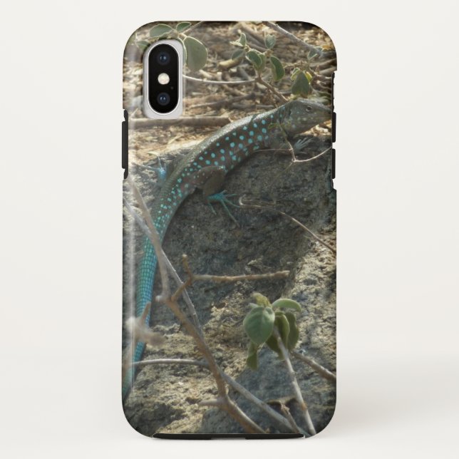 Aruban Whiptail Lizard Tropical Animal Photography Case-Mate iPhone Case (Back)