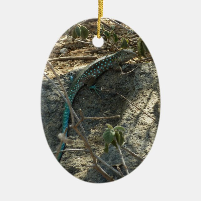 Aruban Whiptail Lizard Tropical Animal Photography Ceramic Tree Decoration (Front)