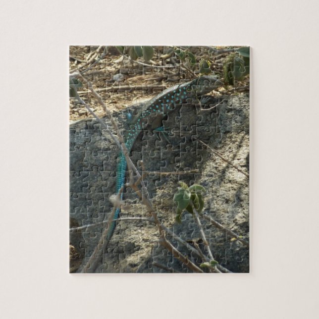 Aruban Whiptail Lizard Tropical Animal Photography Jigsaw Puzzle (Vertical)