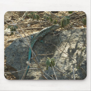 Aruban Whiptail Lizard Tropical Animal Photography Mouse Mat