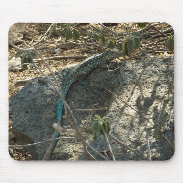 Aruban Whiptail Lizard Tropical Animal Photography Mouse Mat (Front)
