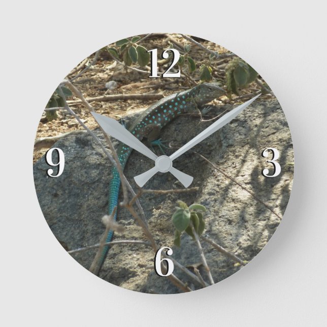 Aruban Whiptail Lizard Tropical Animal Photography Round Clock (Front)