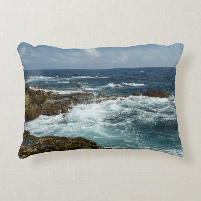 Aruba's Rocky Coast and Blue Ocean Decorative Cushion (Front)