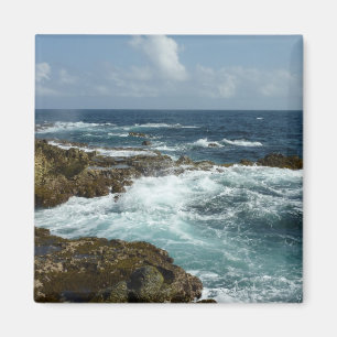 Aruba's Rocky Coast and Blue Ocean Magnet