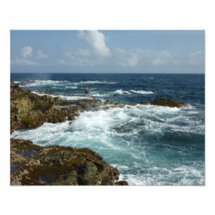 Aruba's Rocky Coast and Blue Ocean Photo Print