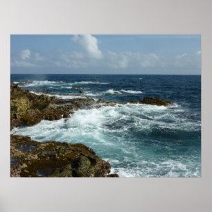 Aruba's Rocky Coast and Blue Ocean Poster