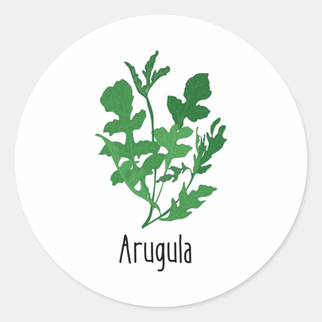 Arugula Spices Herbs Classic Round Sticker (Front)