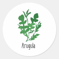 Arugula Spices Herbs
