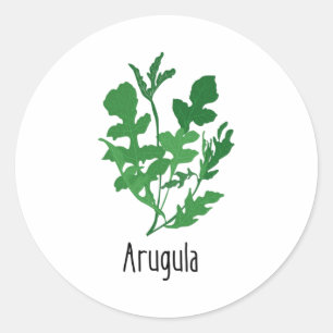 Arugula Spices Herbs Classic Round Sticker
