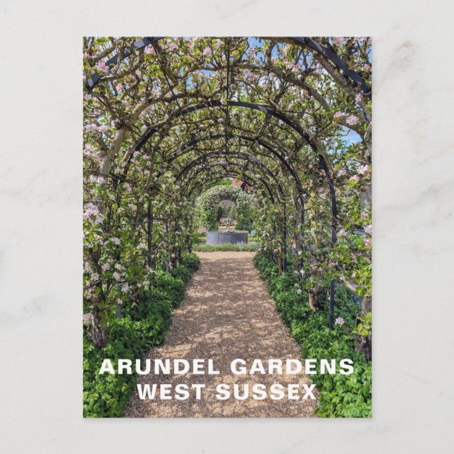 Arundel Gardens in Spring Time, West Sussex Photo Postcard (Front)