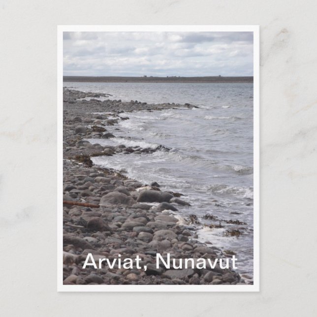Arviat Nunavut Shoreline Postcard (Front)