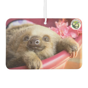 Arya, The Two-Fingered Sloth Car Air Freshener
