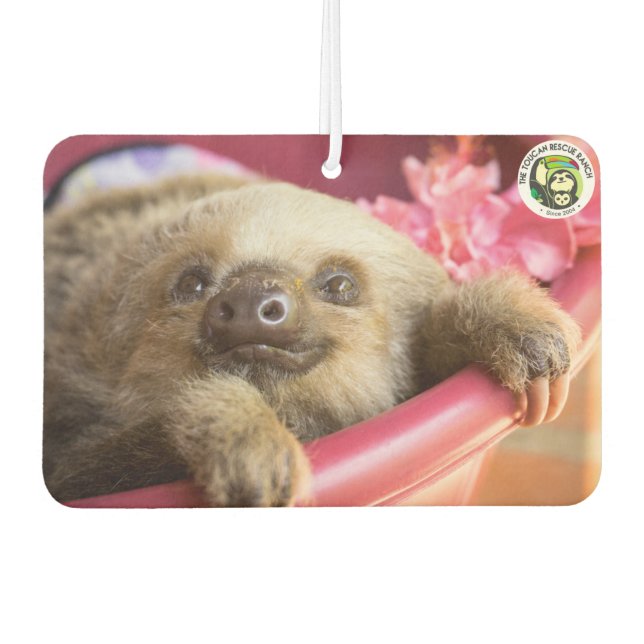 Arya, The Two-Fingered Sloth Car Air Freshener (Front)
