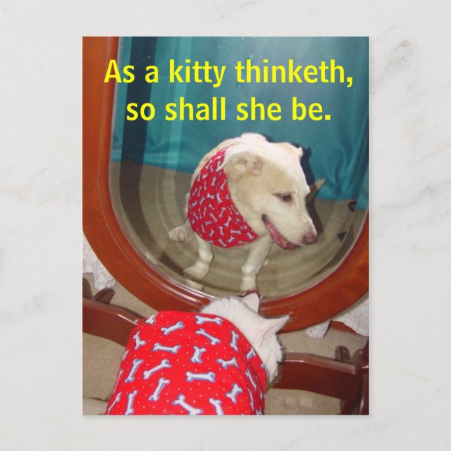 As a kitty thinketh... postcard (Front)