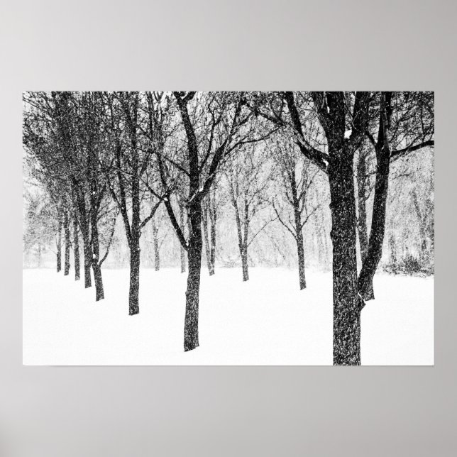 as I side with trees Poster (Front)