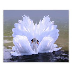 As One, Swans by Danny Hahlbohm Photo Print
