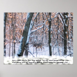 As The Deer Pants for the Water... Poster