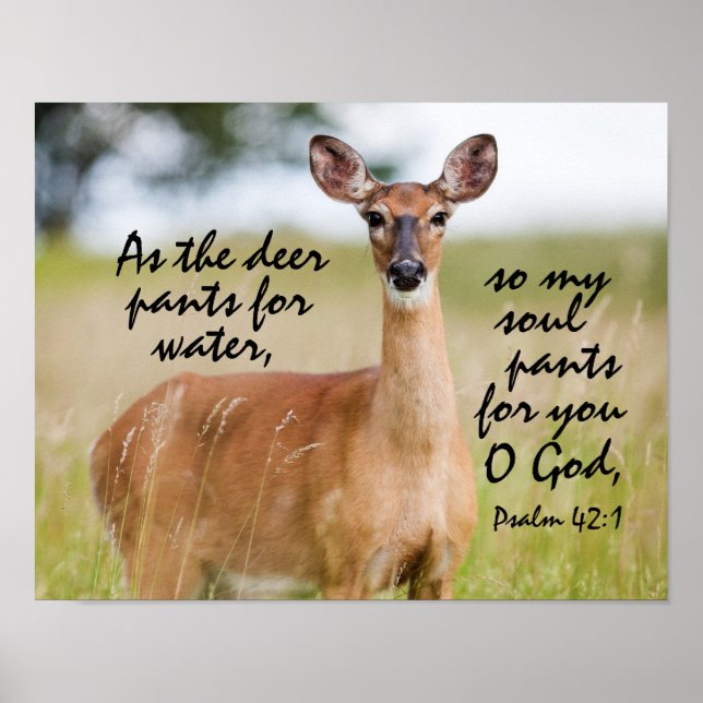 As the deer pants for water Bible Verse Psalm 42:1 Poster (Front)