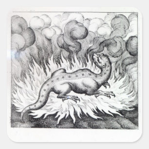 As the Salamander lives in fire Square Sticker