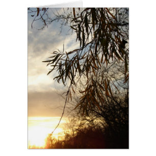 As The Sun Sets