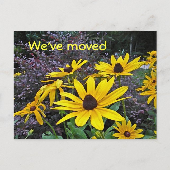 AS- Yellow Daisy Moving Notice Postcards (Front)