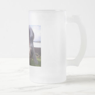 ASAPFarm Joey Frosted Glass Beer Mug