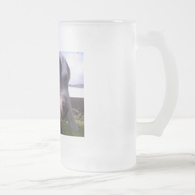 ASAPFarm Joey Frosted Glass Beer Mug (Right)