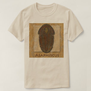 Asaphiscus Fossil Trilobite T-Shirt